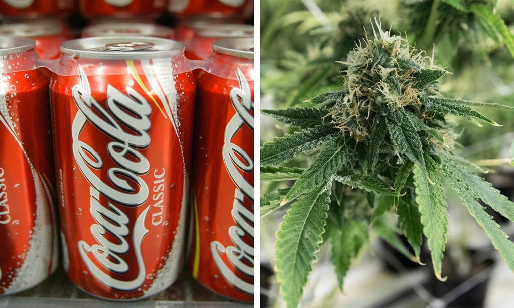 coca cola cannabis