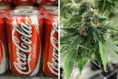 coca cola cannabis