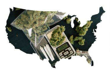 cannabis american dream